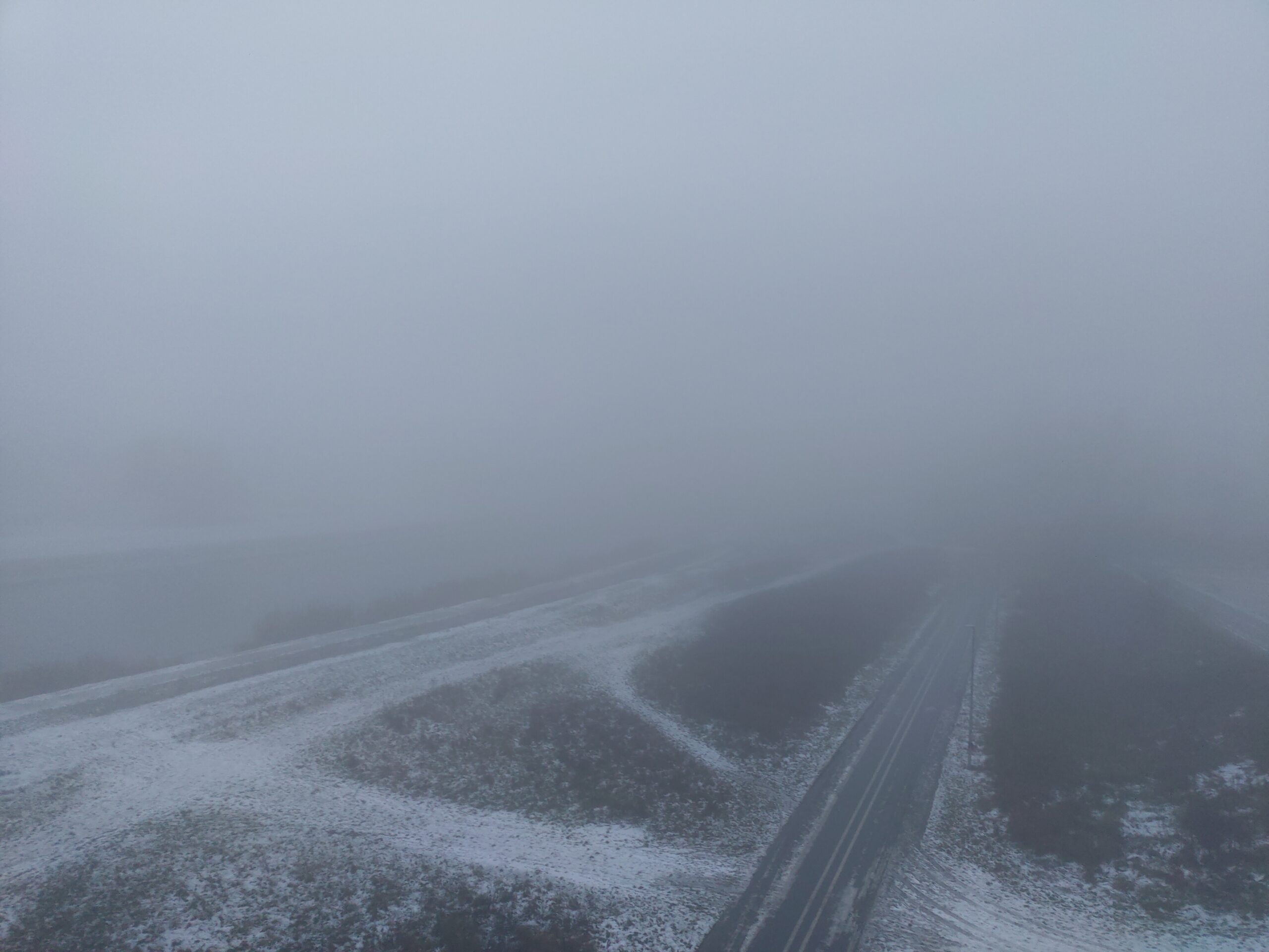 Gęsta mgła nie opuści Wielkopolski w najbliższych godzinach