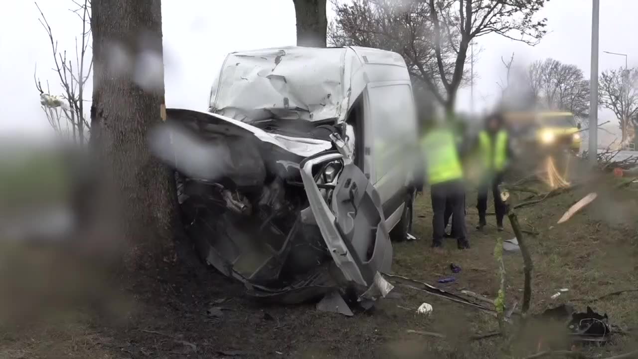 Kierowca stracił panowanie nad kierownicą po tym, jak na busa spadło drzewo – okoliczności tragicznego wypadku w Wielkopolsce