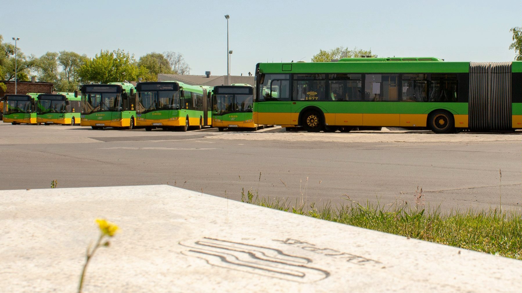 W Poznaniu będą jeździć nowe hybrydowe autobusy
