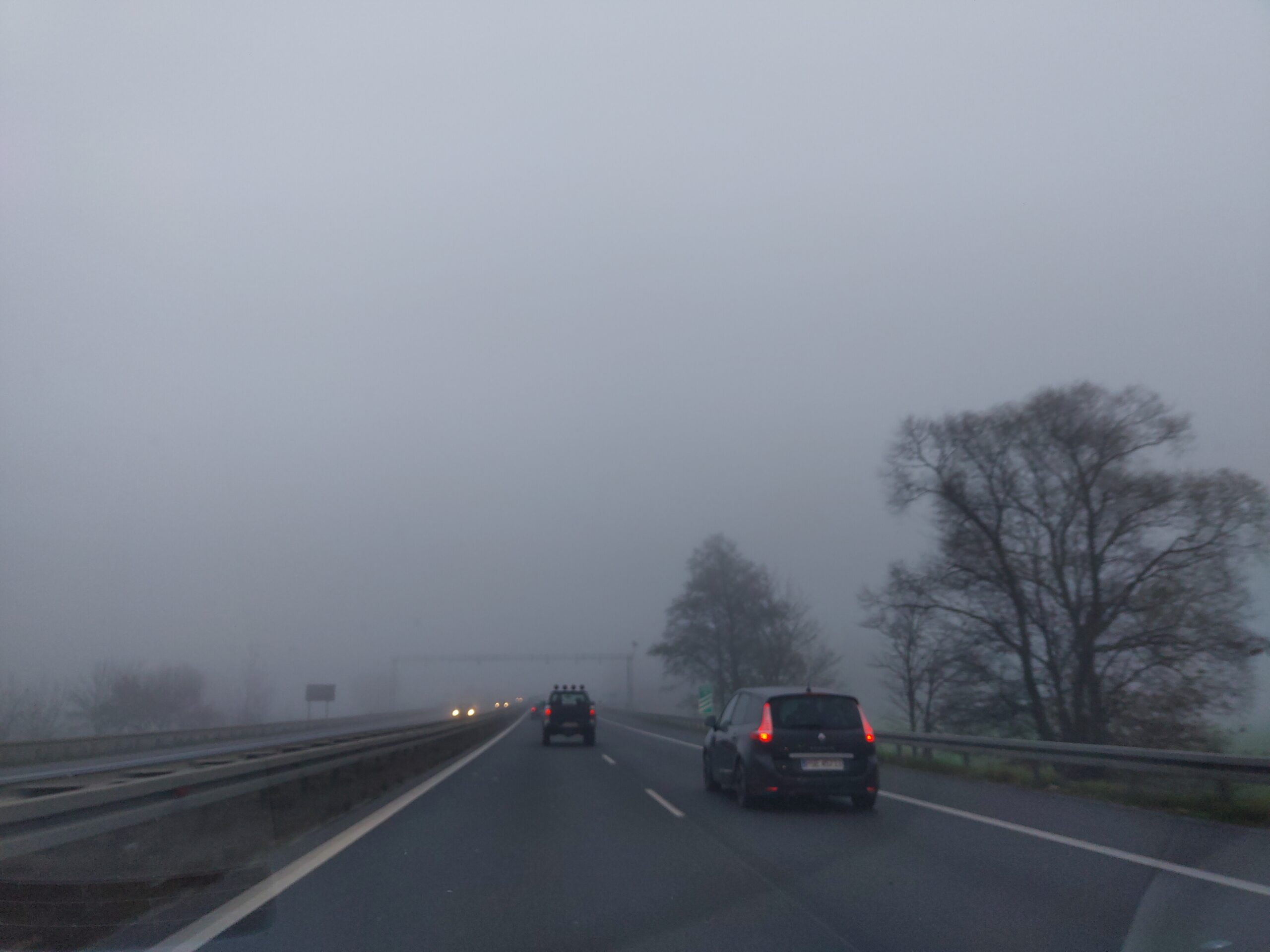 Mgła na wielkopolskich drogach