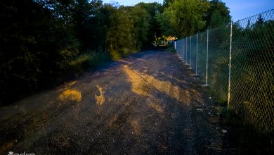 Koniec ciemności – będzie oświetlenie na kolejnych ulicach w Poznaniu