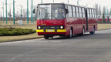 Ikarusy wracają na poznańskie ulice. Weekendowy jubileusz kultowych autobusów